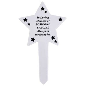 Shining Star Someone Special Memorial Baby Child Remembrance Verse Grave Ground Stake Plaque