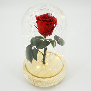 Real Preserved Forever Enchanted Red Rose