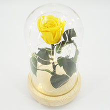 Load image into Gallery viewer, Real Preserved Forever Enchanted Yellow Rose