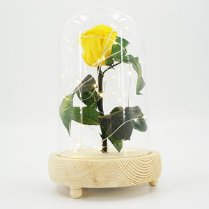 Real Preserved Forever Enchanted Yellow Rose