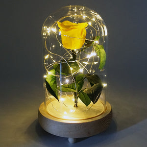 Real Preserved Forever Enchanted Yellow Rose