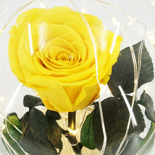 Load image into Gallery viewer, Real Preserved Forever Enchanted Yellow Rose