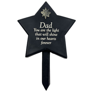 Special Dad Memorial Star Solar Light Remembrance Verse Ground Stake Plaque