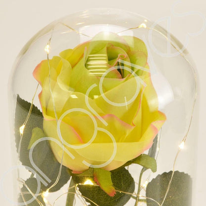 Mixed Lemon & Lime Handmade Enchanted Rose in Glass Dome Bell Jar with LED Light - Angraves Memorials