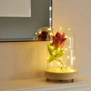 Glistening Cerise Handmade Enchanted Rose in Glass Dome Bell Jar with LED Lights - Angraves Memorials