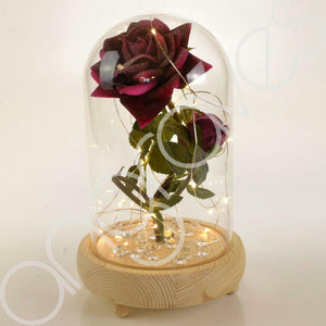Bella Pink Handmade Enchanted Rose & Rosebud with Glass Dome Bell Jar and LED Lights (23cm) - Angraves Memorials