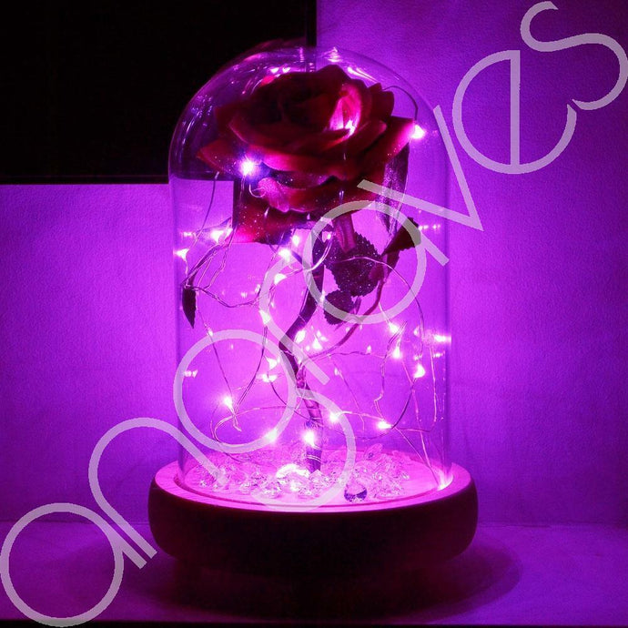 Fairy Tale Pink Enchanted Rose in Glass Dome Bell Jar Cloche with Magical Glow Lights - Angraves Memorials