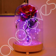 Load image into Gallery viewer, Fairy Tale Pink Enchanted Rose in Glass Dome Bell Jar Cloche with Magical Glow Lights - Angraves Memorials