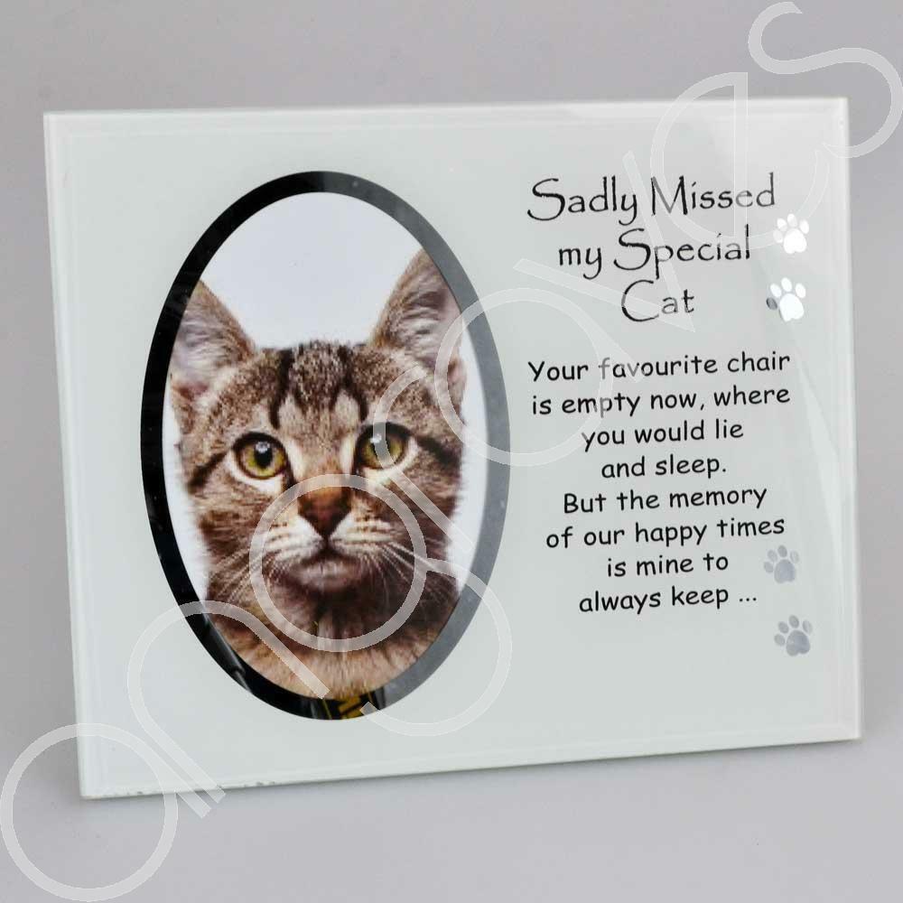Sadly Missed My Special Cat Pet Photo Frame (4 x 6 inch) - Angraves Memorials