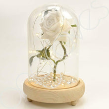 Load image into Gallery viewer, Magical White Handmade Enchanted Rose in Glass Dome Bell Jar with LED Lights - Angraves Memorials