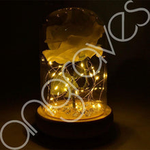 Load image into Gallery viewer, Snow White Handmade Enchanted Rose in Glass Dome Bell Jar with LED Lights - Angraves Memorials