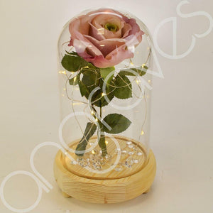 Vintage Pink Handmade Enchanted Rose in Glass Dome Bell Jar with LED Lights
