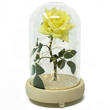 Load image into Gallery viewer, Yellow Friendship Sparkle Handmade Enchanted Rose with Glass Dome Bell Jar and LED Lights (23cm)
