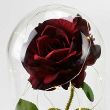 Load image into Gallery viewer, Extra Large Handmade Fairy Tale Enchanted Red Rose in Glass Dome Bell Jar Cloche with Magical Glow Lights (Perfect for Wedding Displays) - Angraves Memorials